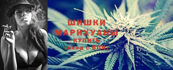 гидропоника Медногорск