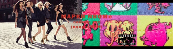 гидропоника Медногорск