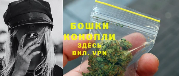 гидропоника Медногорск