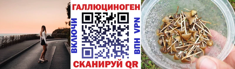 Псилоцибиновые грибы Magic Shrooms  Купить  Ишимбай 